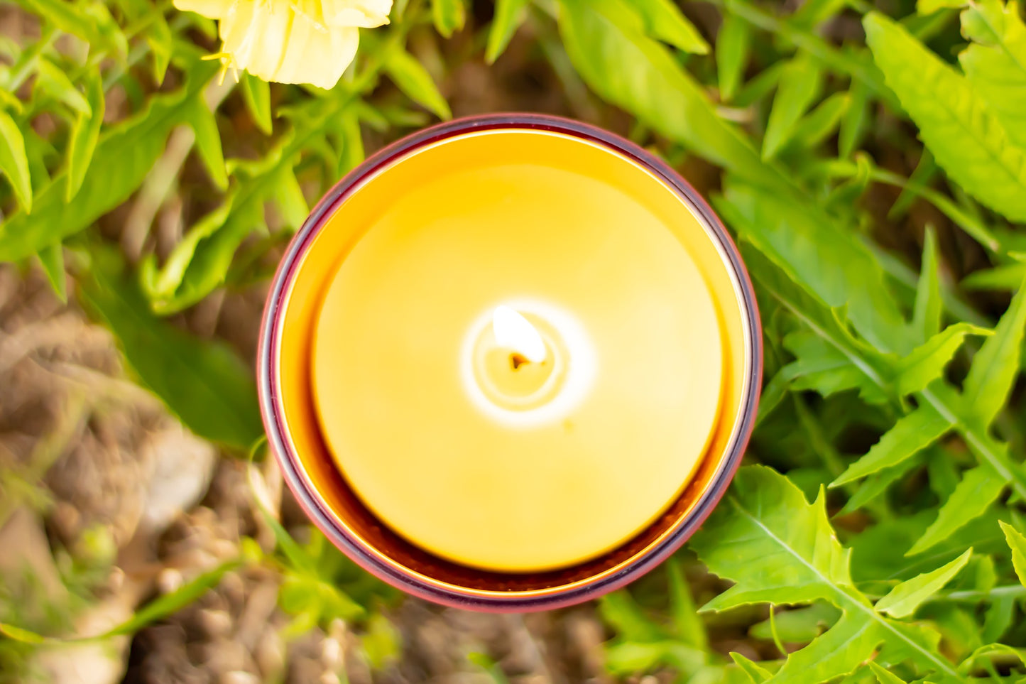 Cranberry With Gold Interior Beeswax Candle